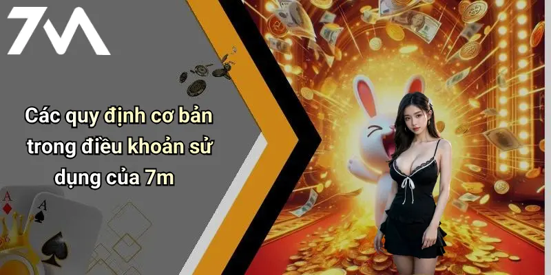 Các quy định cơ bản trong điều khoản sử dụng của 7m