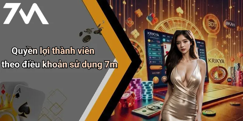 Quyền lợi thành viên theo điều khoản sử dụng 7m