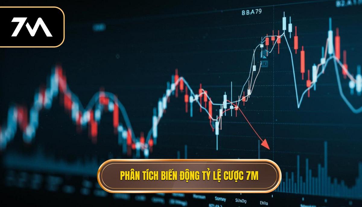Phân tích đa chiều về biến động tỷ lệ cược trên 7M