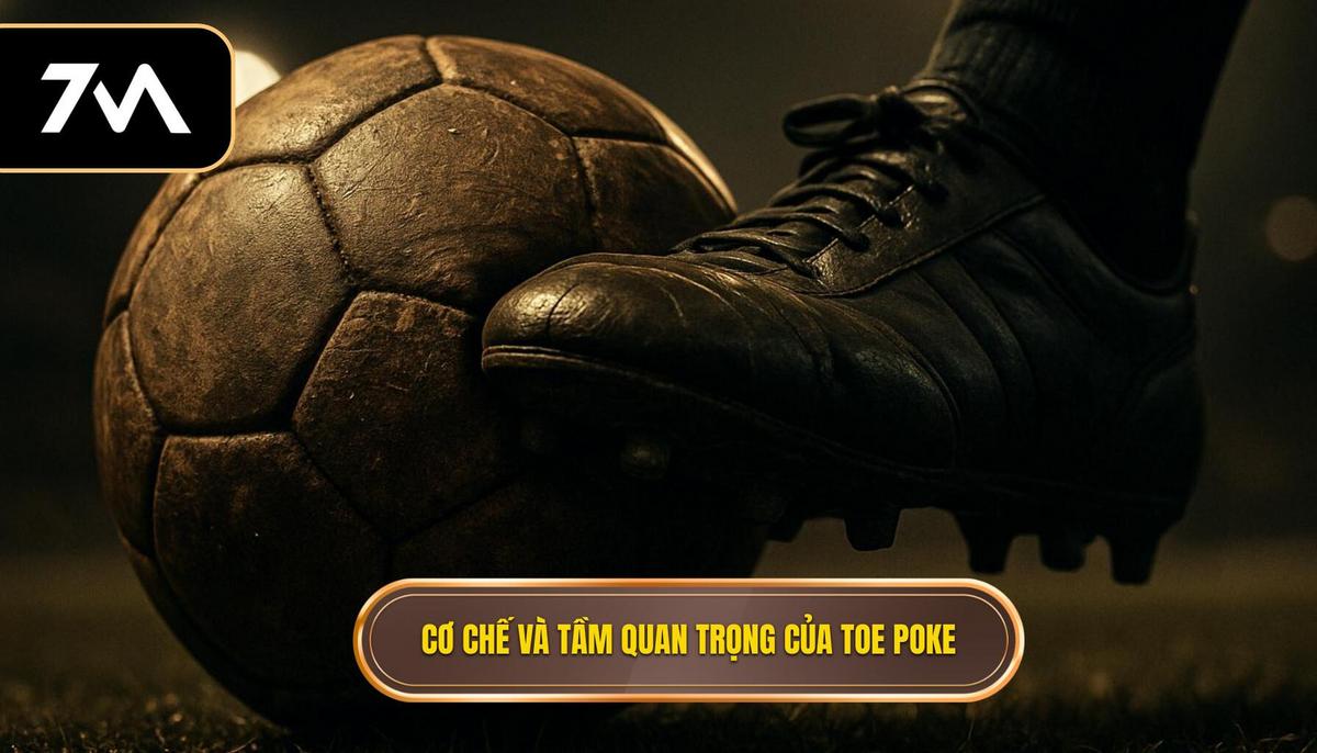 Cơ chế hoạt động và tầm quan trọng của Toe Poke