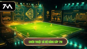 Chiến thuật cá độ đẳng cấp 7M